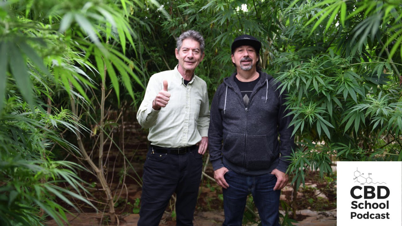 Why Our Hemp Farms Are In China