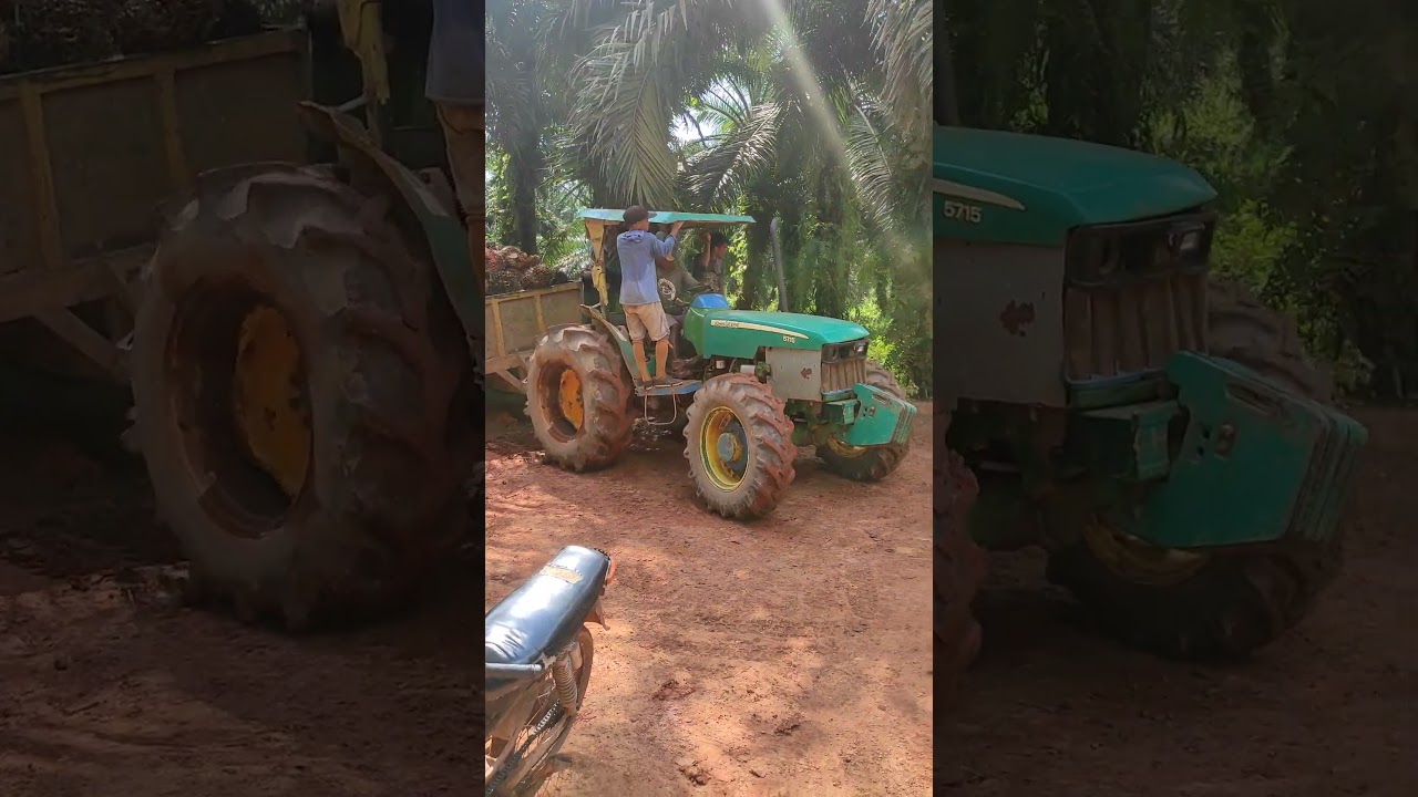 Transport owoc&oacute;w palmy (FFB) za pomocą ciągnika John Deere i przyczepy o ładowności 2 ton
