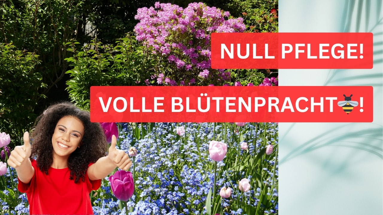 Blütenpower nonstop: Die besten Dauerblüher für faule Gärtner 😄🌼