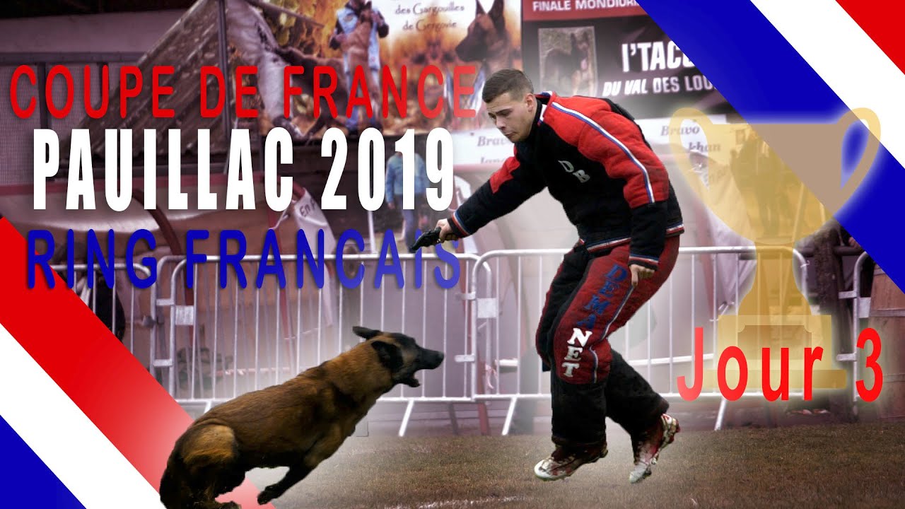JOUR 3 - COUPE DE FRANCE RING FRANCAIS 2019