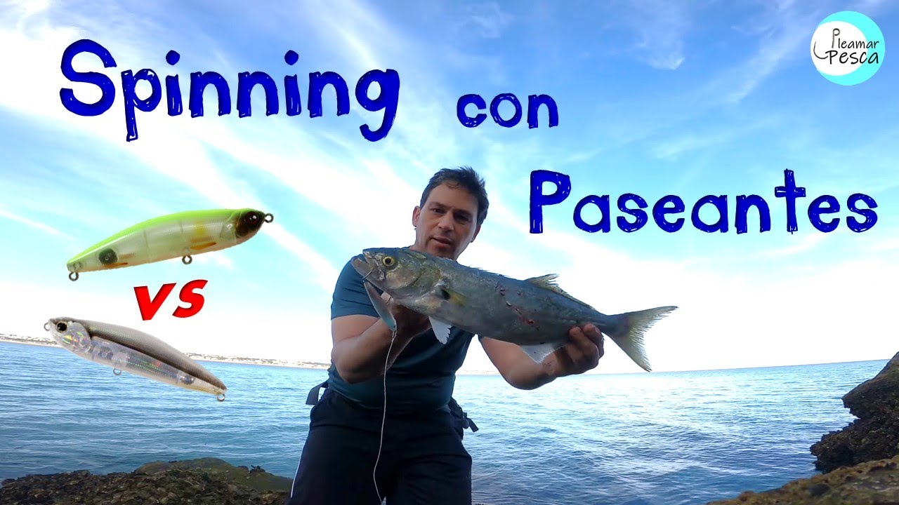 Spinning en Superficie: Prueba y Comparativa de Paseantes