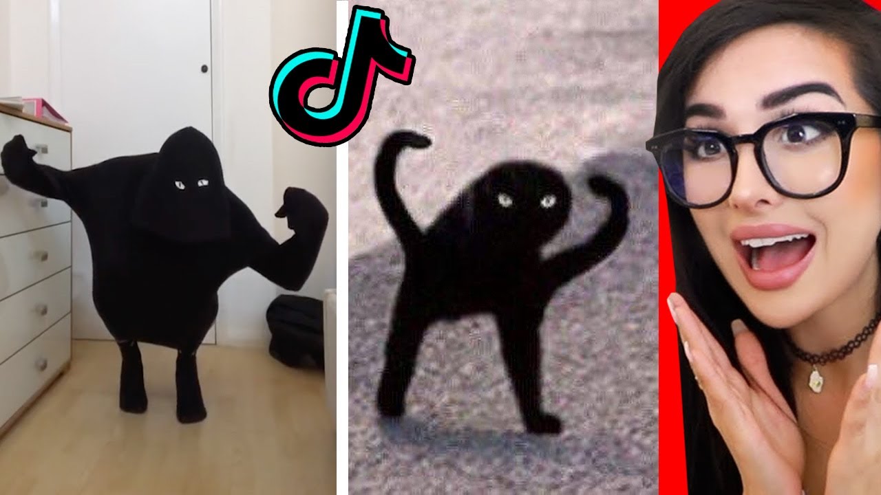 Tik Tok LOOK-A-LIKE Meme Challenge