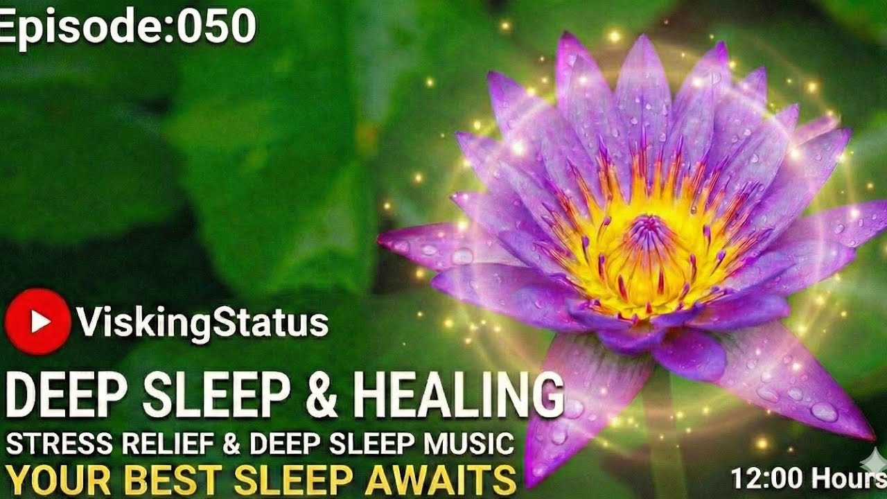 Ep 50 of the Relax series.Calm your nervous system✅ Instant Stress Relief #slowmotion #relex #sleep 