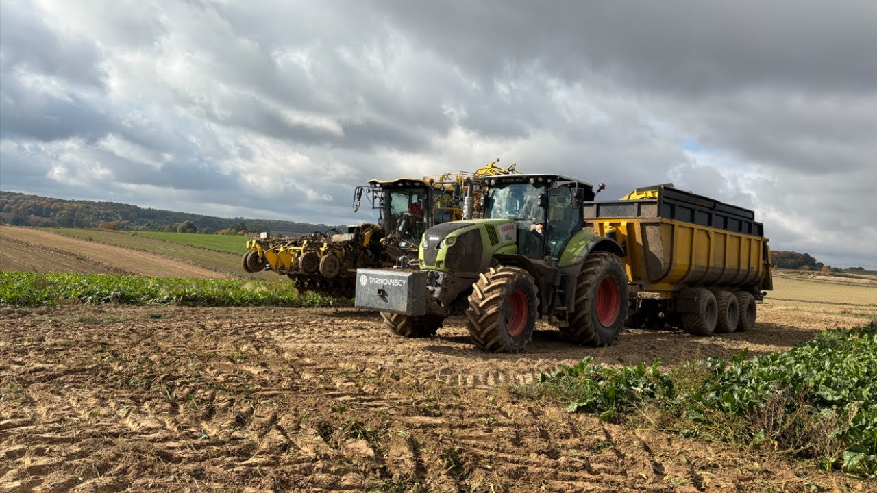 KOPANIE ✔ BURAKÓW 2025 ✔ Z  ✔ZFIRMĄ TRANOWCY ✔  GR POPIK ROPA TIGER 6S