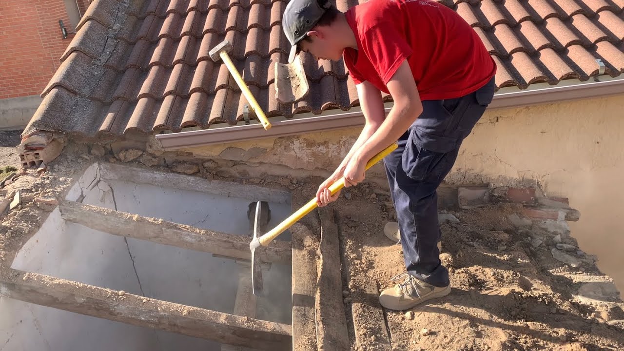Como matar las termitas de tu casa sin tratar la madera y sin echar insecticidas