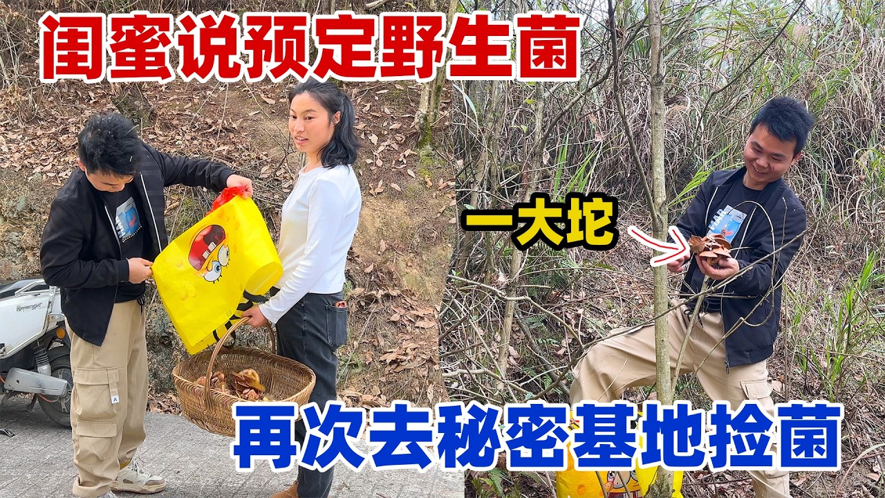 原本想靠着野生菌大赚一笔的，特地准备半天却不及偶然的发现，我们的无本发财梦破碎了