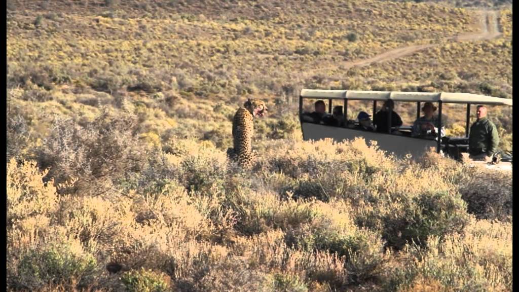 Kids on Safari at Sanbona Wildife Reserve
