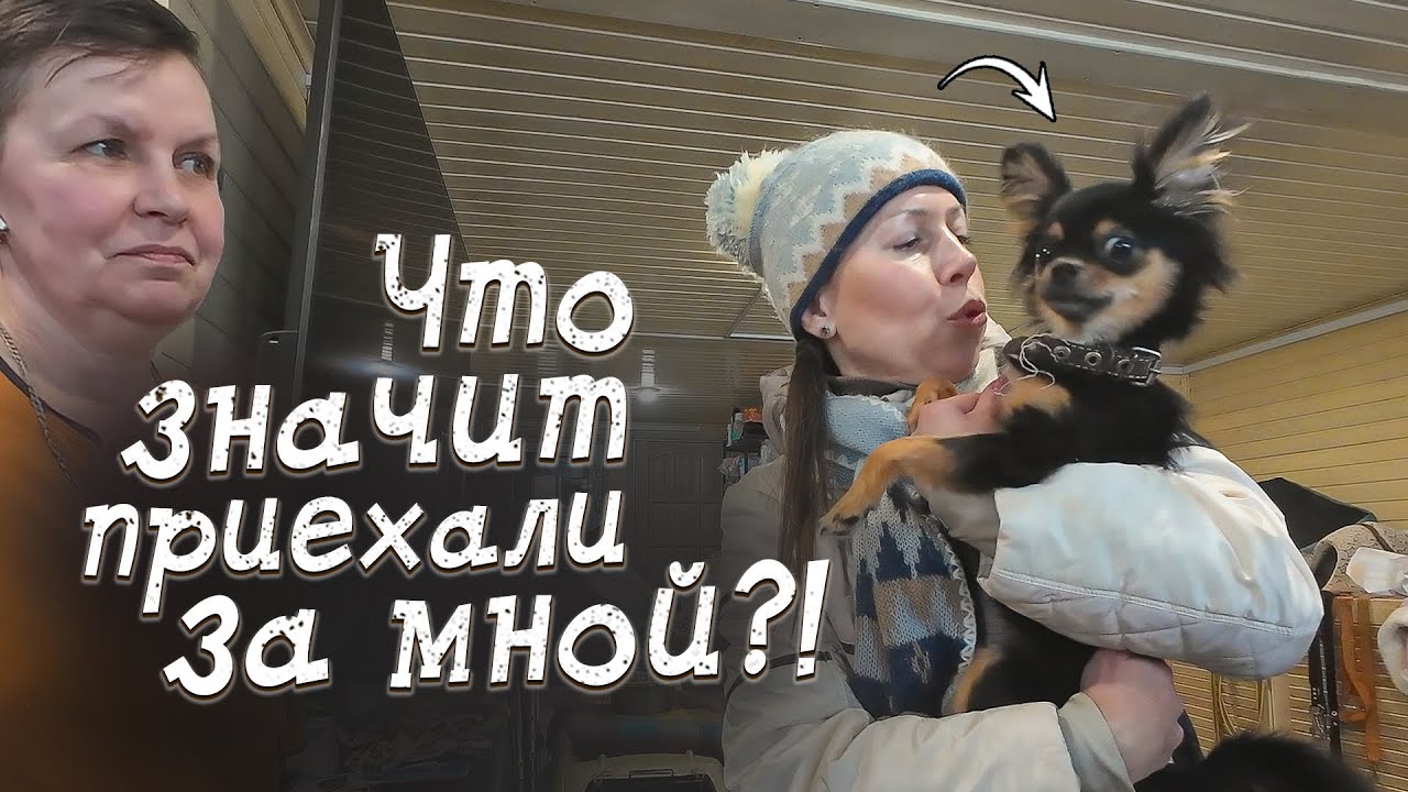 Шила в шоке! Её приехали забирать домой!?