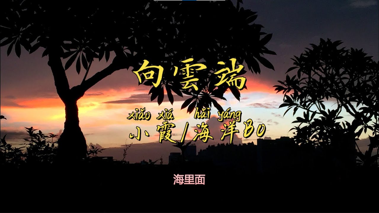 小霞 海洋Bo《向云端》Fly to the top of the cloud 低吟浅唱治愈人心 又一首爆火神曲 无损音质 动态歌词
