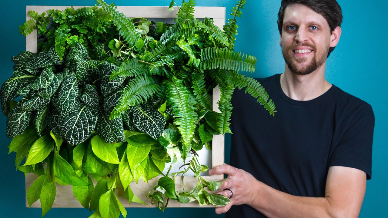 Easy DIY Living Plant Wall that Waters Itself