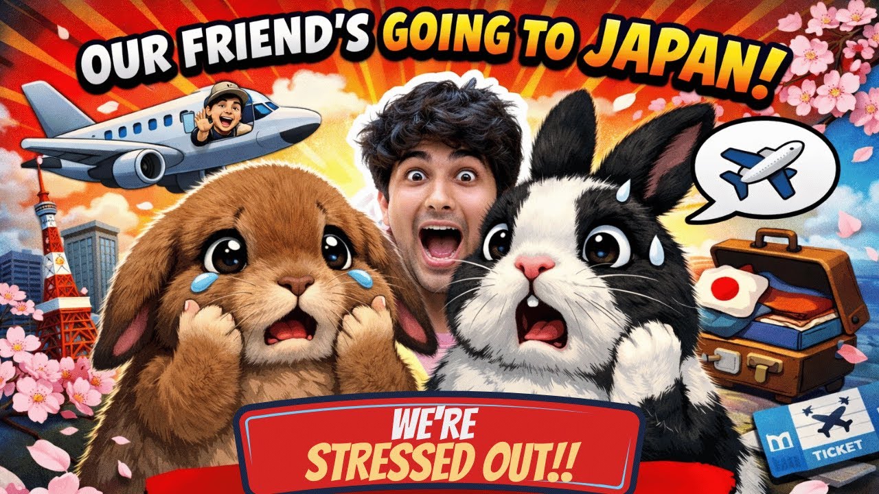 My Friend Going To Japan & Bunnies Are In Stress