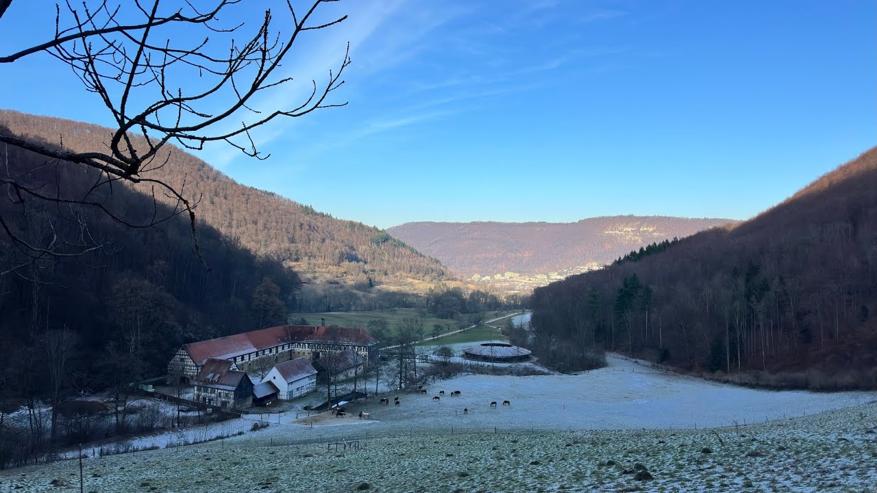 Gütersteiner Wasserfall im Januar 2026