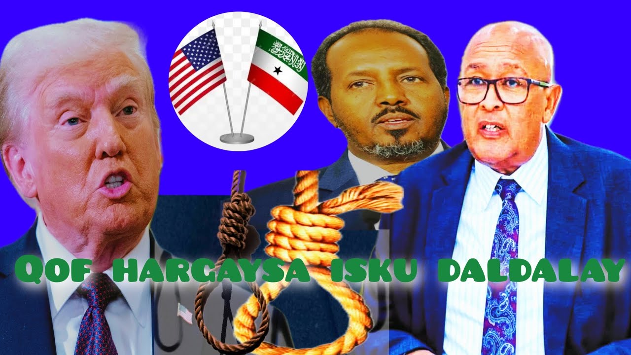 DALDALAAD KA DHACDAY MADAXTOOYADA SOMALILAND AGTEEDA & MARAYKANKA OO SOMALI SIIYEY JAWAAB QOSOL LEH🤔