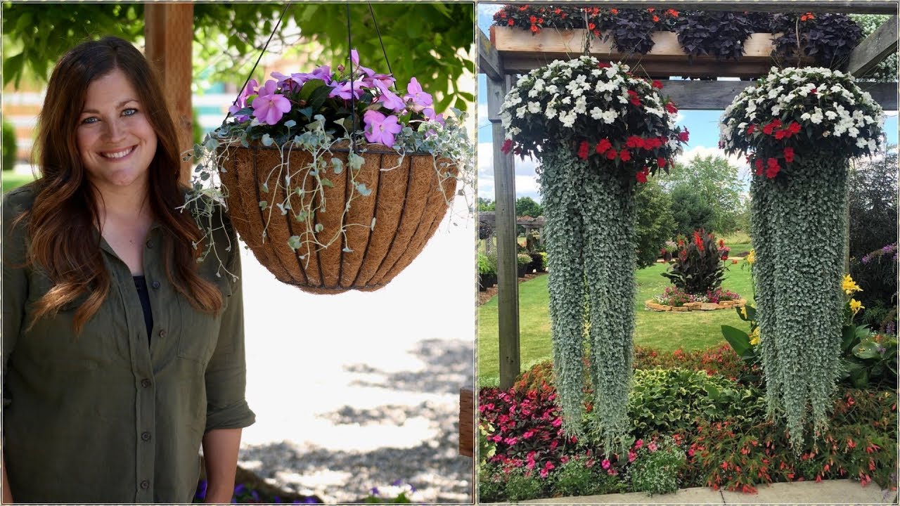 The Hanging Basket Jellyfish Challenge // Garden Answer