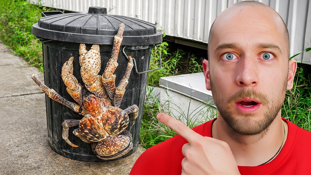 Can You Really Keep Coconut Crabs as a Pet?