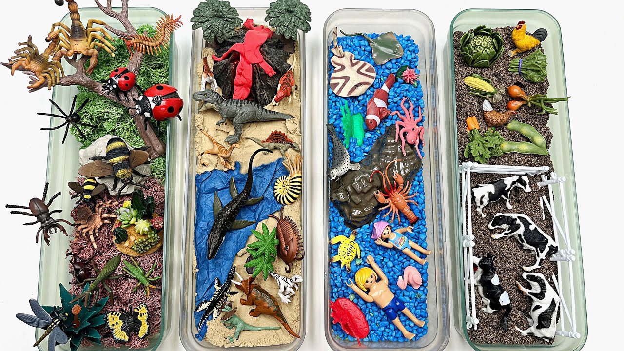 4 type Diorama For Animals | Bugs Dinos Sea Animals Farm - cow Dolphin scorpion Mosasaurus T-Rex