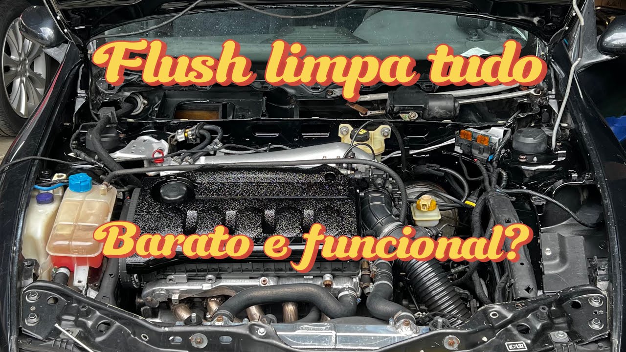 FLUSH DE MOTOR FAZ MAL? ÓLEO DIESEL FUNCIONA COMO FLUSH?