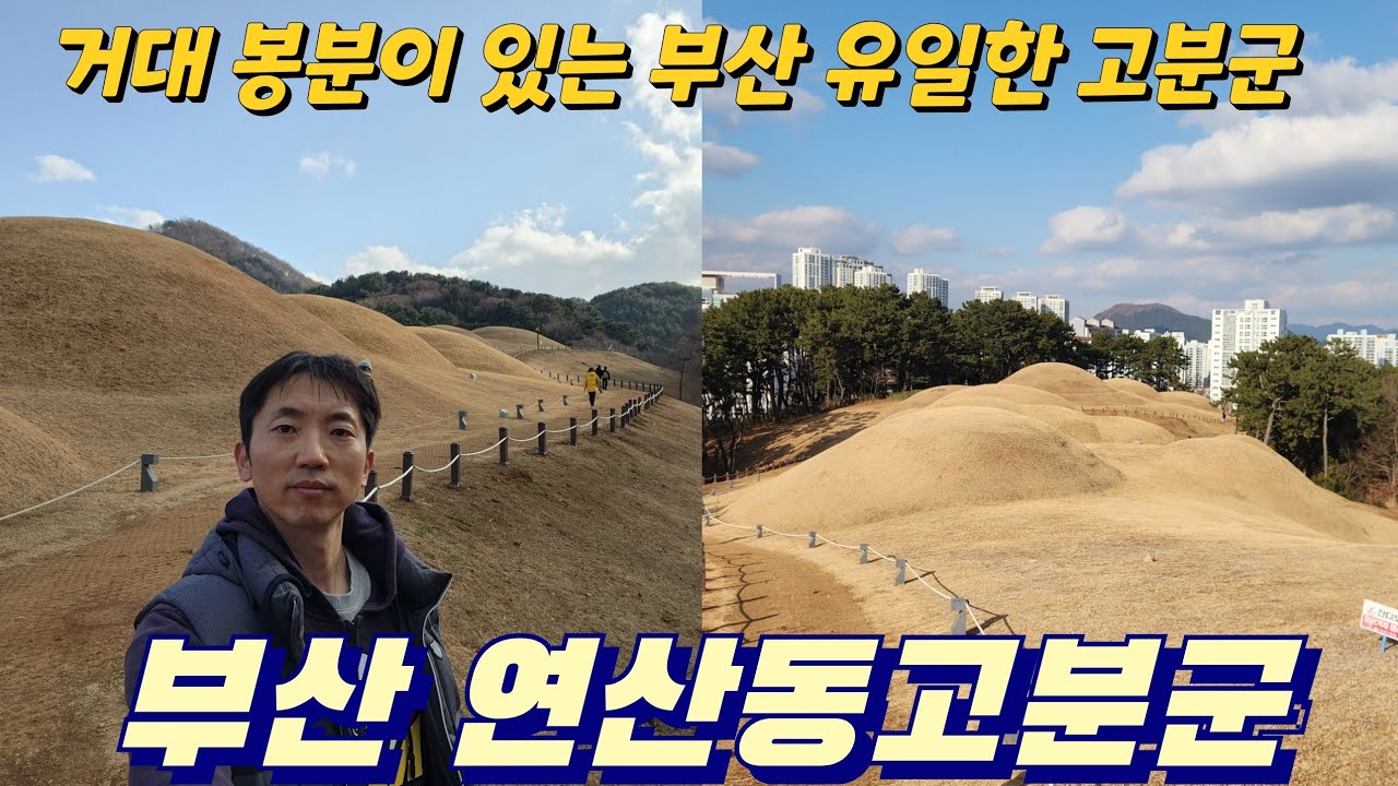 거대 봉분이 있는 부산 유일한 고분군, 연산동고분군