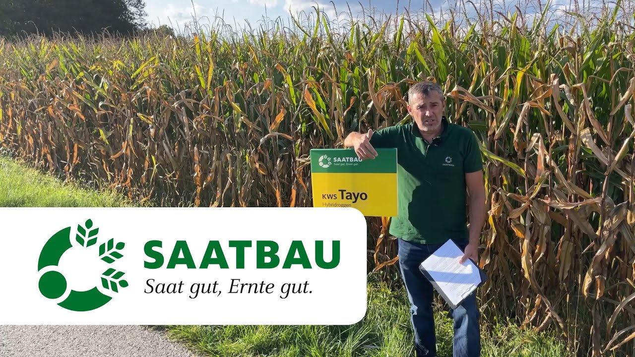 Triticale und Roggen - Sorte, Saatstärke, Düngung