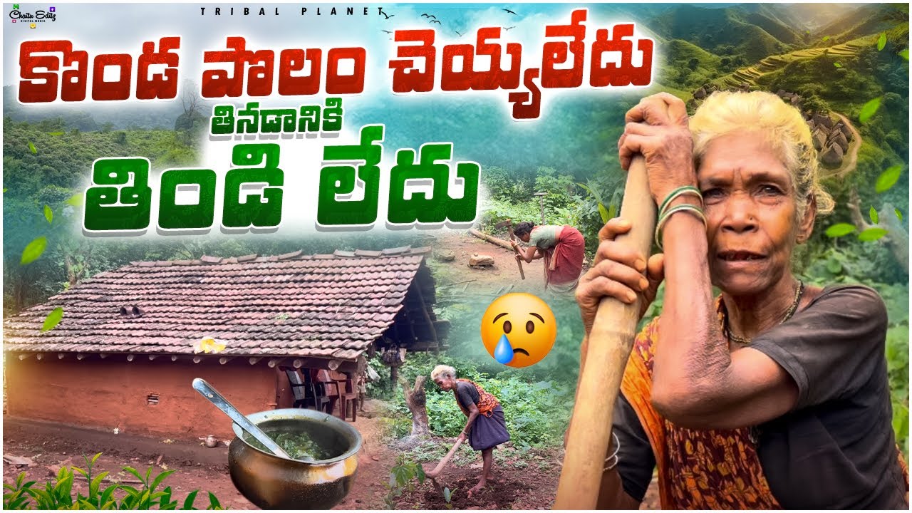 ఆకులే ఆహారం..అడవిలో బతుకు యుద్ధం|Tribals Surviving on Leaves..The Untold Jungle Life@tribal planet