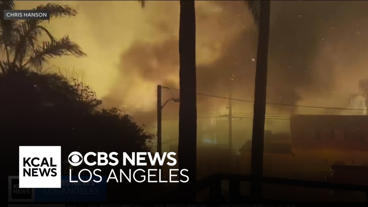 Retired fire chief saves his Malibu home from Palisades Fire