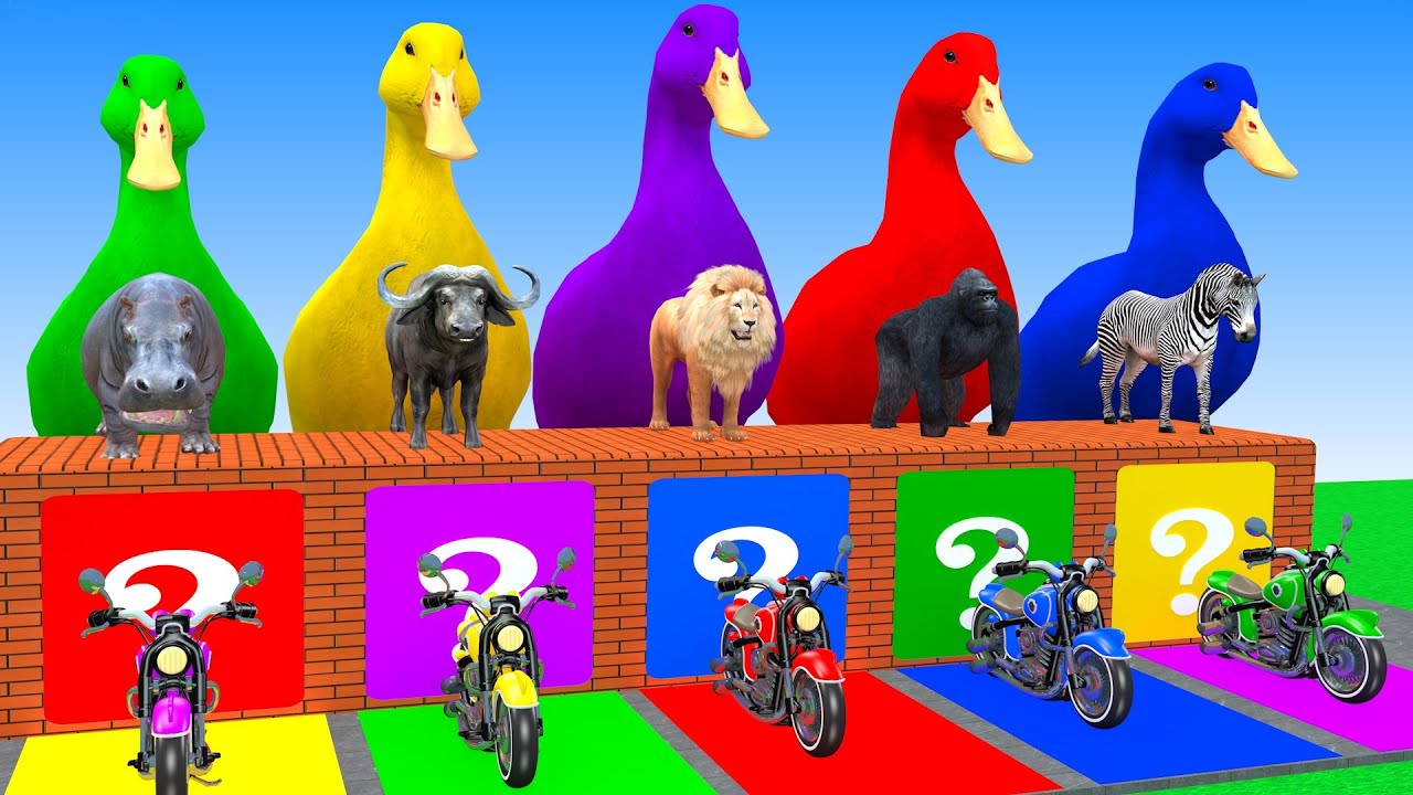 Long Slide Game With Elephant Gorilla Buffalo Hippopotamus Tiger 3d Animal Game Funny 3d Animals
