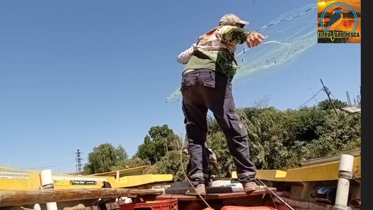 QUE LINDO ES pescar🎣por mas que esté difícil 
