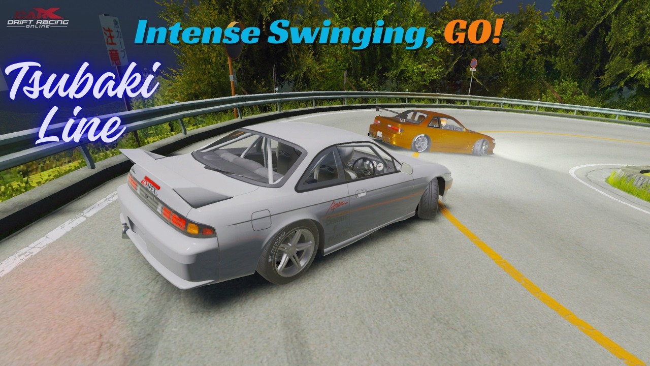 Nissan Silvias S13 vs S14 Tsubaki Line NIGHT OF FIRE