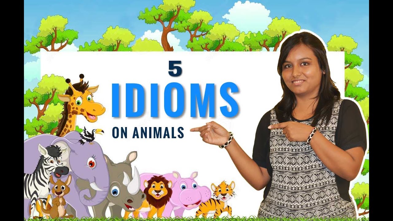 5 IMPORTANT IDIOMS based on animals