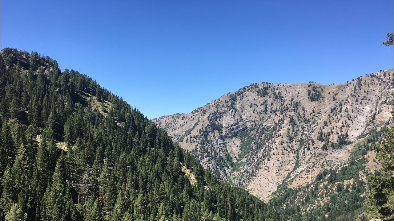 Smithfield Canyon Trail - Hiking to Tony Grove!