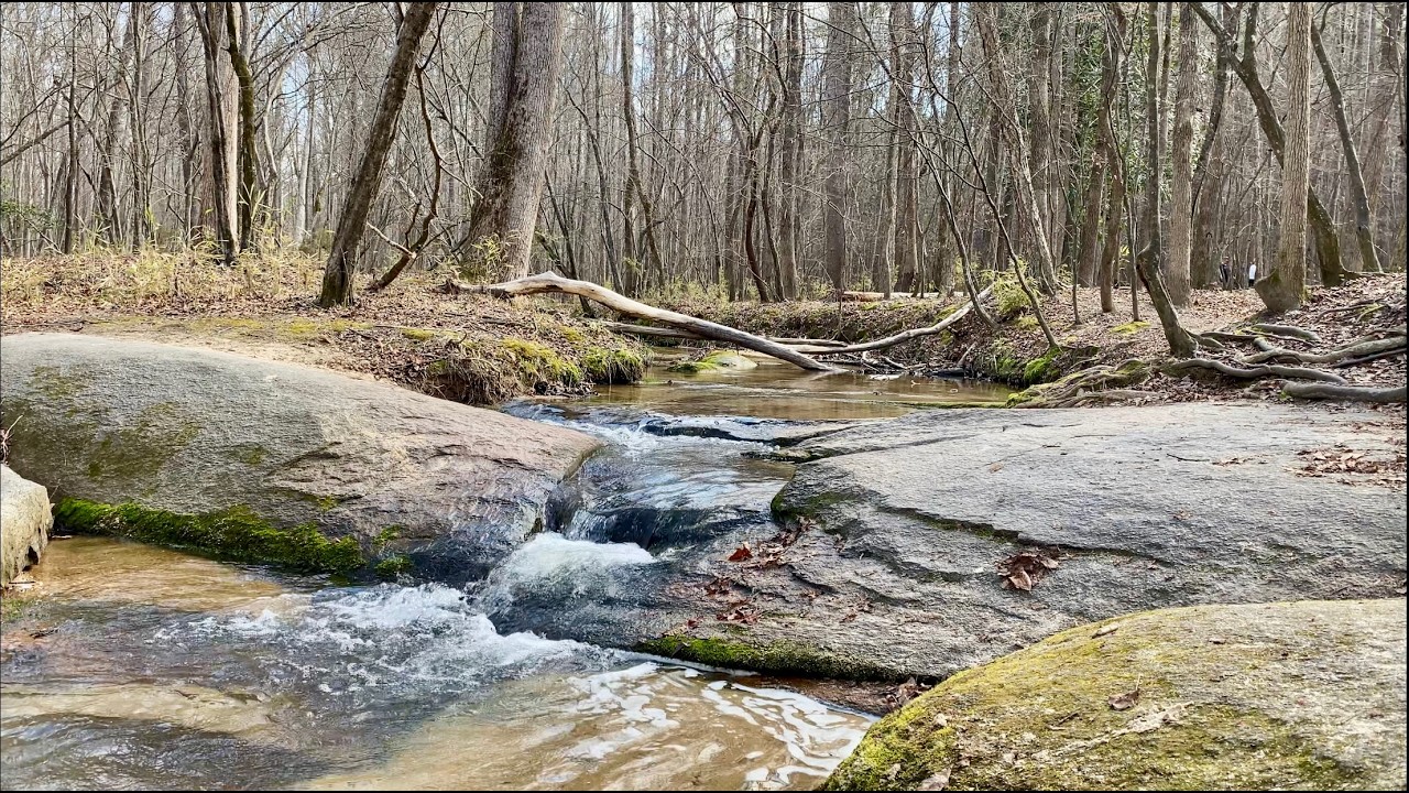 Warm March day at Mill Bridge Nature Park brought out people and animals for an early Spring vibe