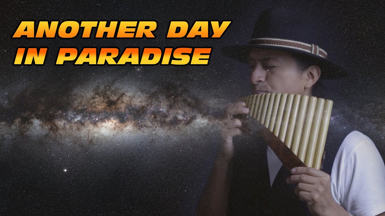 Phil Collins - Another Day In Paradise || Flute Instrumental