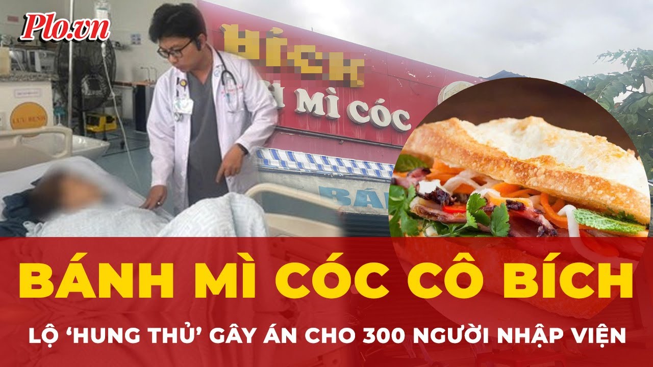 Công bố ‘hung thủ’ ẩn mình sau bánh mì cóc Cô Bích gây ngộ độc với hơn 300 người | Tin nhanh