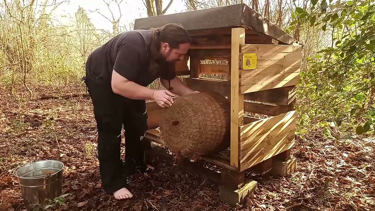 Winter Varroa Treatment | Skep Beekeeping #skepbeekeeping #barefoot #korbimkerei #barfuß