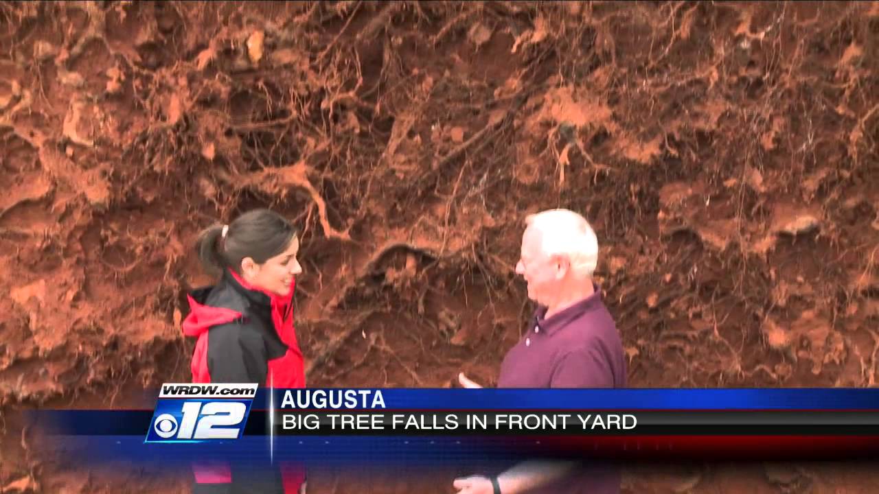 Massive tree uproots in front yard during ice storm