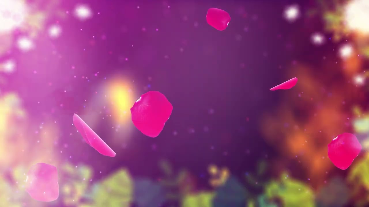 beautifull wedding background | plain background without text background | wedding invitation HD