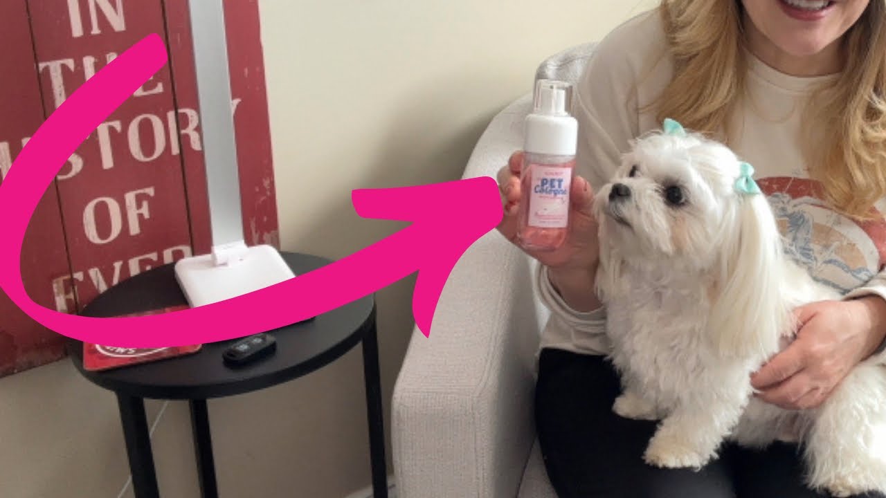 Baby Powder Scent for Pets? Testing This Pet Perfume! #ad