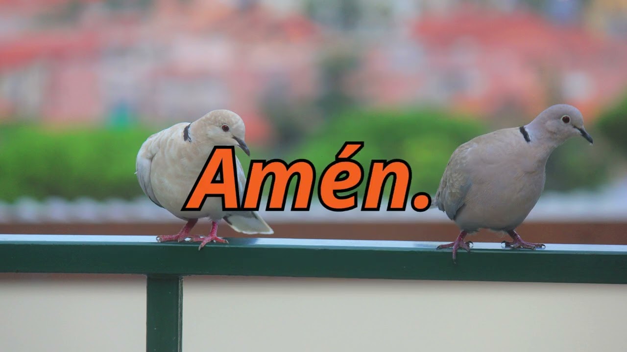 Oración del día  Lunes, 16 de febrero, 2026
