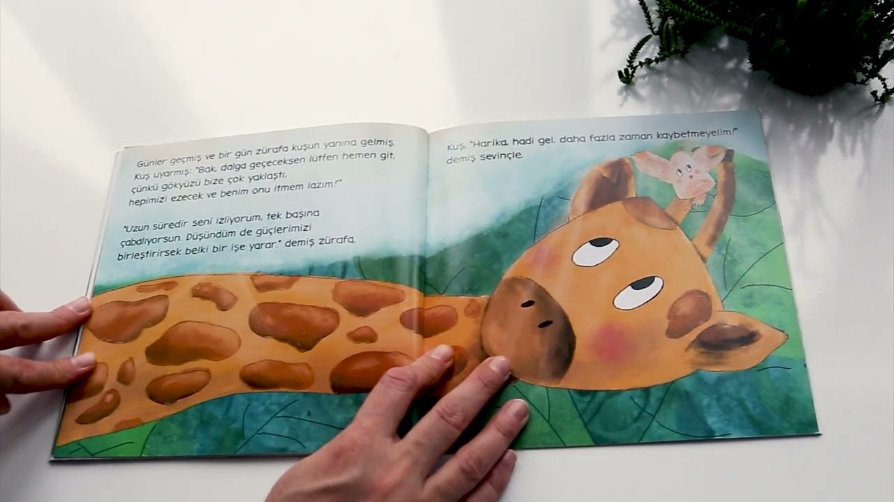 Video-Kitap | Gökyüzünü İten Kuş | Şubadap Çocuk
