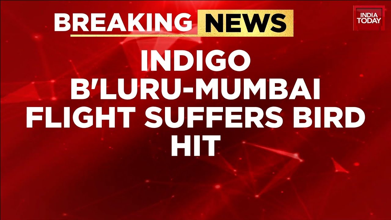 Breaking: Bengaluru-Mumbai IndiGo Flight Delayed By Over An Hour After Bird Hit During Taxiing
