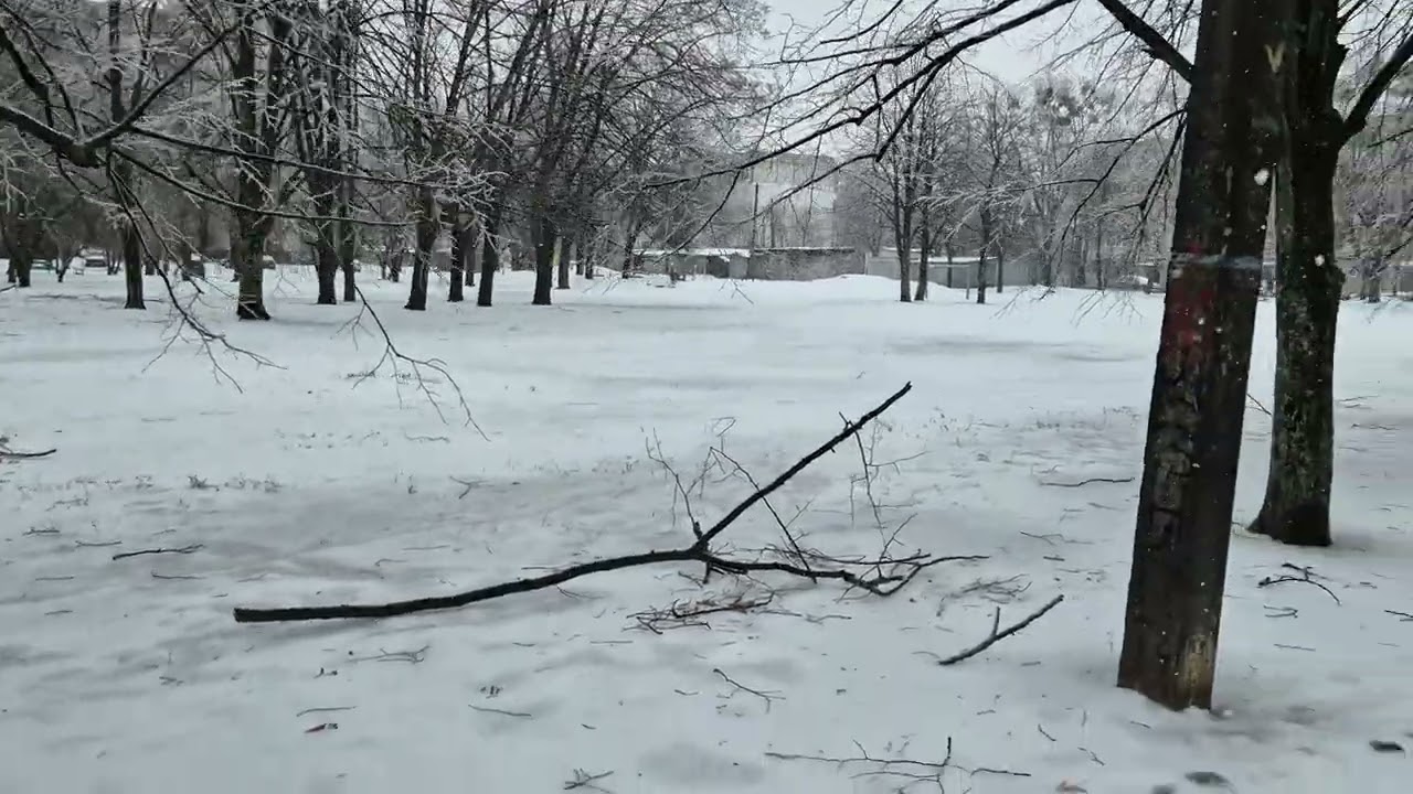 Обледенение деревьев и проводов Харьков Салтовка 