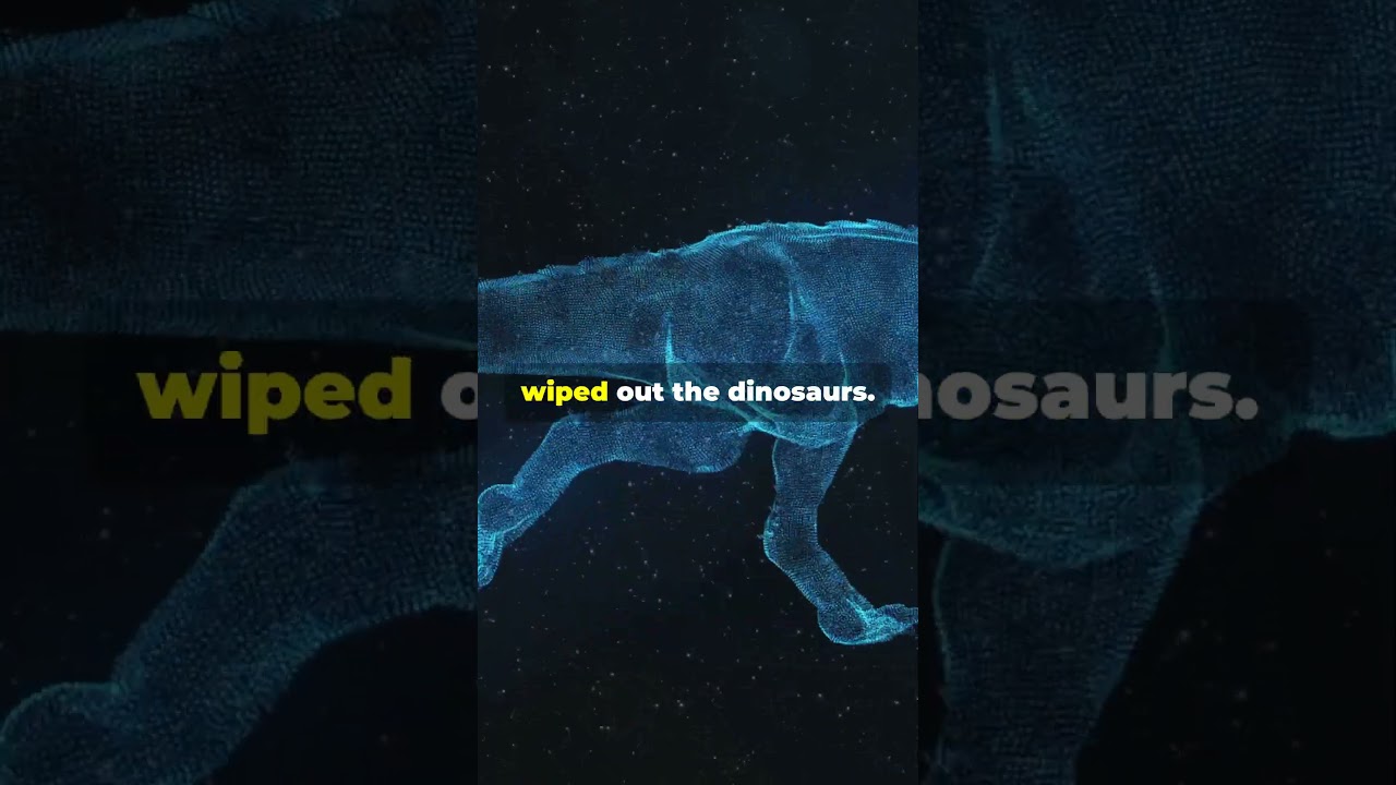 The Evolution of Animals in 30 Seconds!  #facts #animalhistory #animaldocumentary #history #wildlife