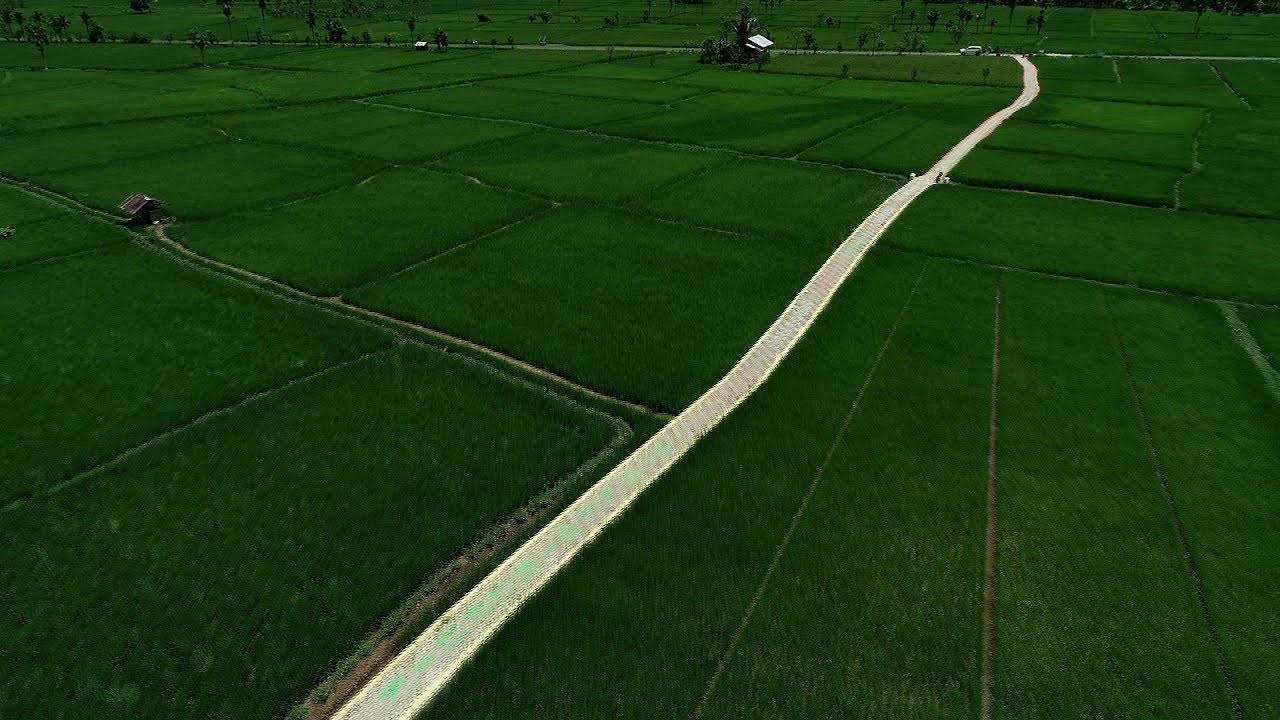 DANA DESA UNTUK KAMPUNG TERISOLIR DI KAMPUNG TONANG UDANG NAGARI SINURUIK
