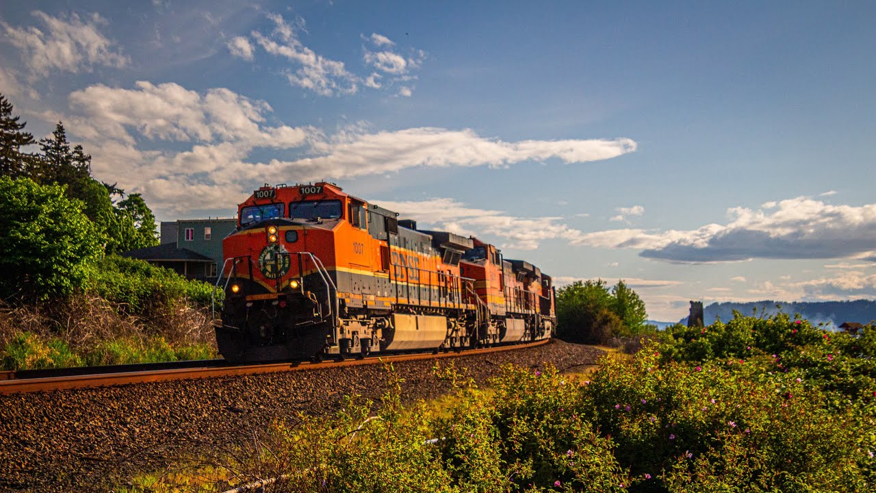 A Plethora of Trains Through Mukilteo Washington