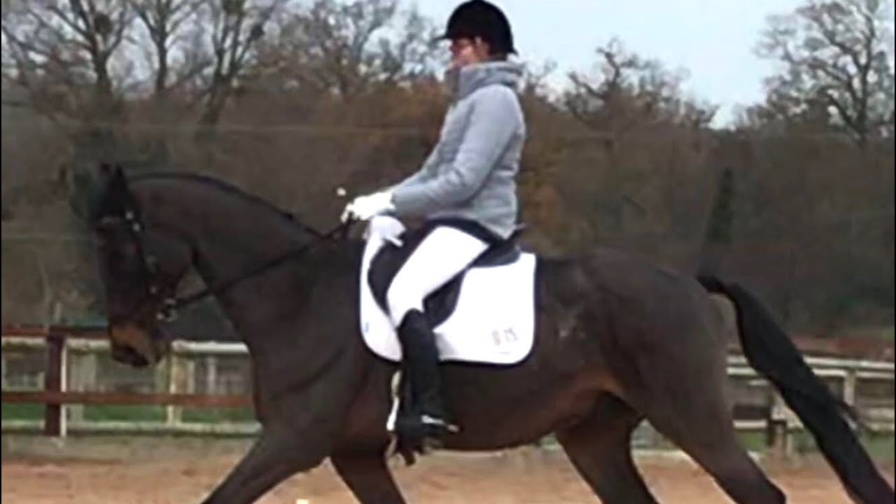 ADVANCE MEDIUM 85 | British Dressage