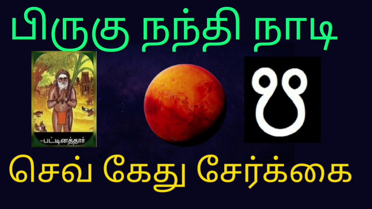 செவ் கேது சேர்க்கை பலன் | பிருகு நந்தி நாடி | Mars ketu conjunction palan | brughu Nandi Nadi |Tamil