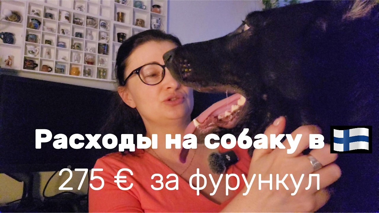 Опять беда! Есть ли смысл ездить в Эстонию лечить питомца?