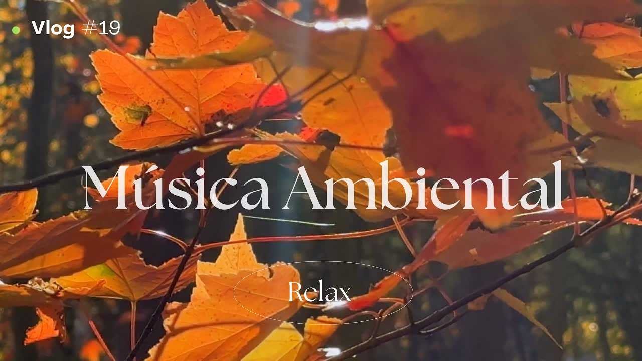 Música Ambiental Ideal Para Hoteles, Restaurantes, Trabajar Y Estudiar