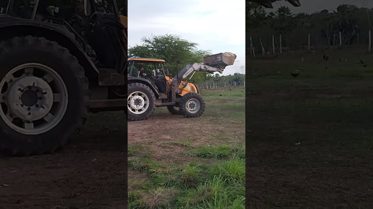 Mas um dia de trabalho graça a Deus 