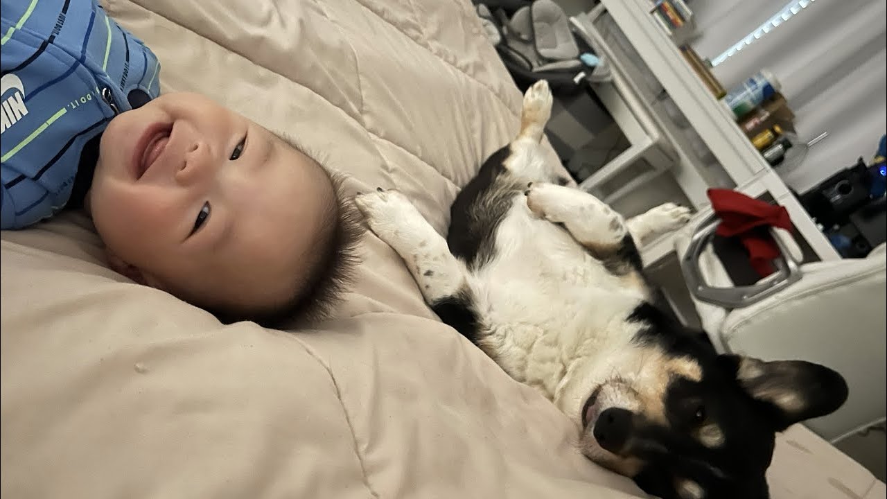 Jayce: Year One